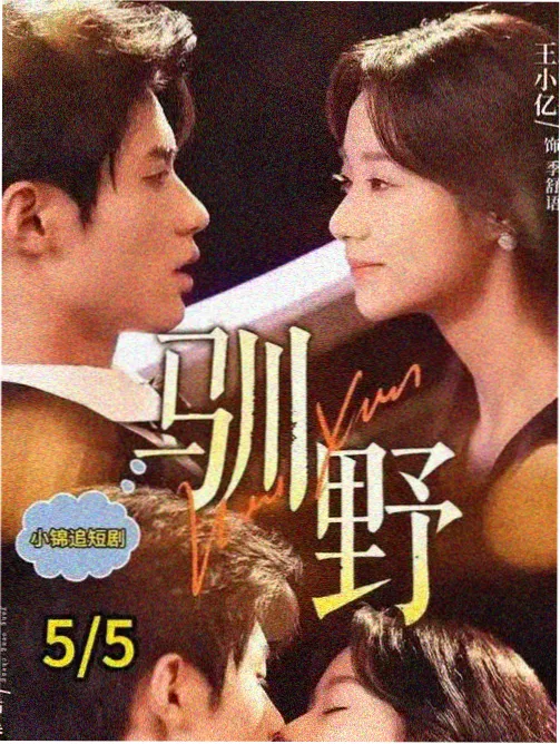静默航线剧集海报
